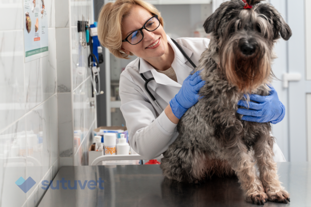 Vendas autoadhesivas