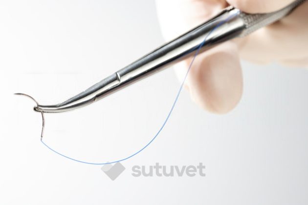 agujas para suturas veterinarias