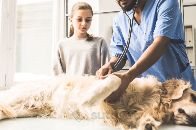 BLOG_SUTUVET_TECNICAS_CIERRE_ABDOMINAL